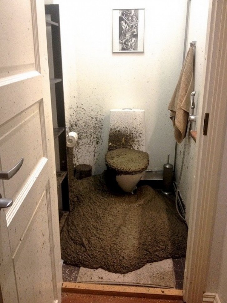 Help us to understand what happened in this bathroom!