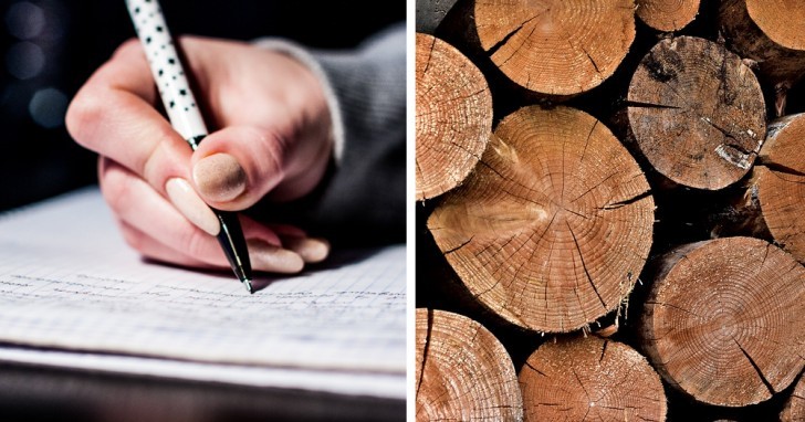 Ogni giorno 100.000 alberi vengono abbattuti per stampare le prove d'esame: salva gli alberi, boicotta gli esami!