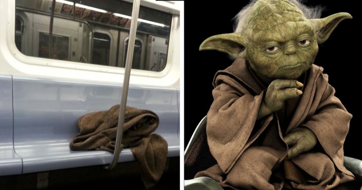 15. Yoda de Star Wars ha pasado por estas partes...