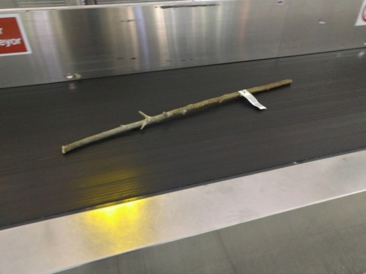 Je n'y crois pas, quelqu'un a embarqué un bâton dans la soute de l'avion.