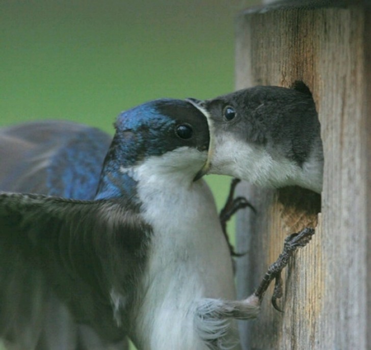 See, I have brought you food and even help you digest it!