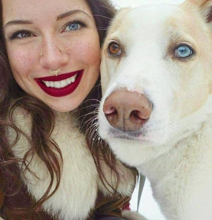 Same heterochromia of the eyes ... Beautiful!