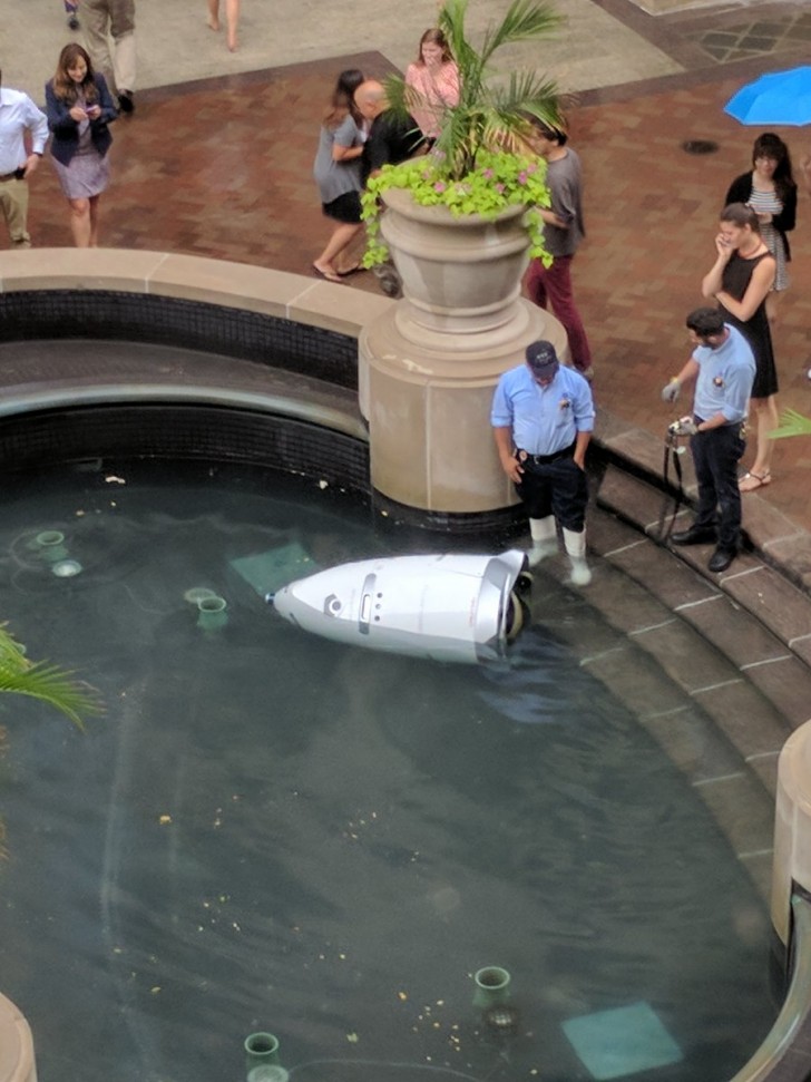 "Il robot della sicurezza è annegato: ci avevano promesso macchine volanti, e invece abbiamo robot suicidi".