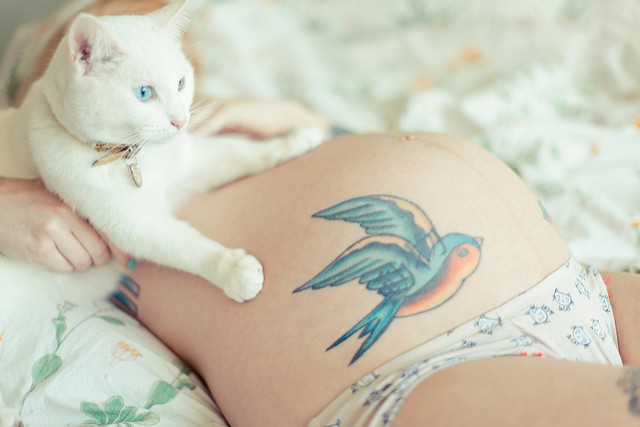 7. Si on tombe enceinte, il faut se séparer du chat.