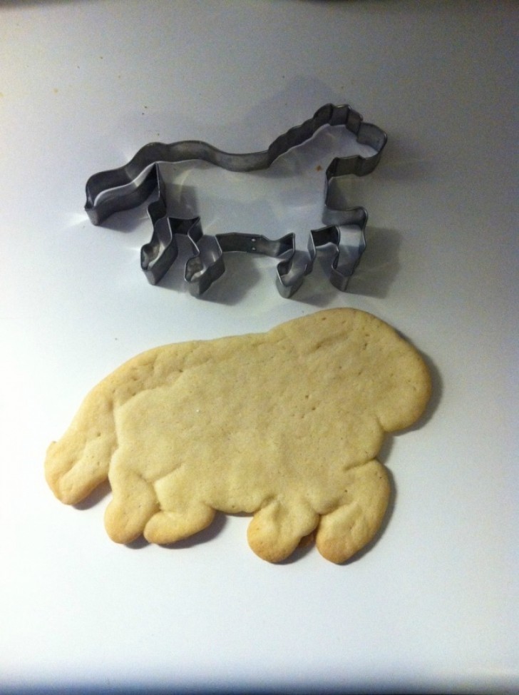 We are almost sure that it was not the fault of the cookie cutter.