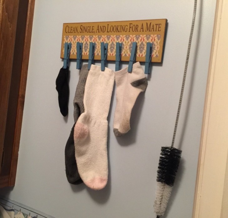 "We zijn single, schoon en zoeken een partner": een familie vond een leuke manier om enkele sokken te koppelen.