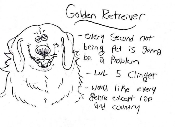 Golden retriever.