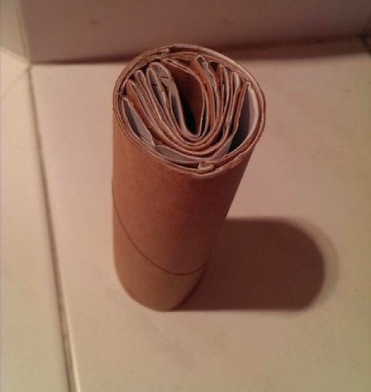 Do you know the type of individual who will not throw the empty toilet paper cardboard roll in the trash? Well, how this person solves the problem beats them all!