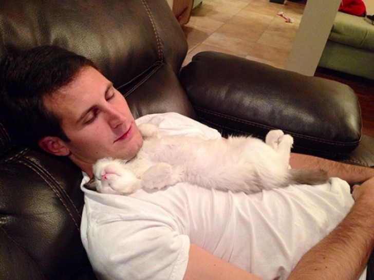 Este joven, claramente, se puso una camiseta blanca para probar convertirse en un tierno como su gato: una tarea dificil!