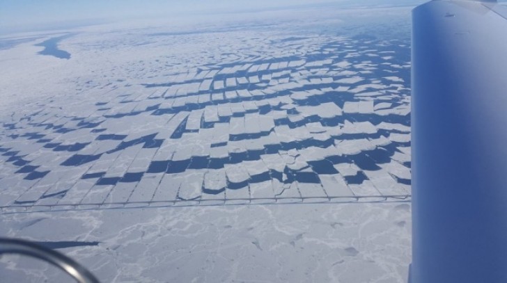 Het uitzicht vanaf de Confederation Bridge (Canada): wie heeft deze stukjes ijs zo mooi gesneden?