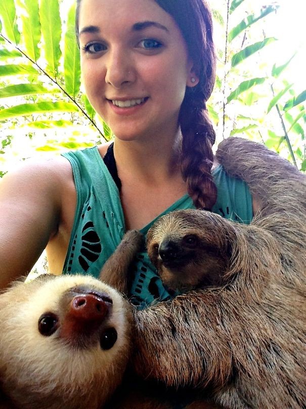 "Ho realizzato il mio sogno passando l'estate a lavorare come volontaria presso una struttura che si occupa (anche) di bradipi!".
