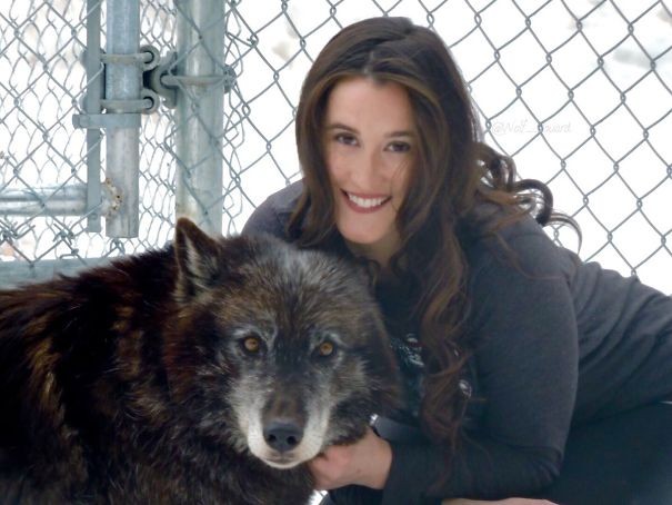 "Aprire un centro di recupero per lupi è stata la decisione migliore di tutta la mia vita".