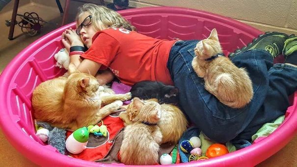 Eine Freiwillige ist glücklich darüber, ihr Bett mit all diesen Katzen teilen zu dürfen