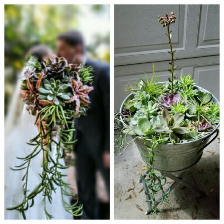 Ce couple a planté le bouquet utilisé par la mariée: belle idée!