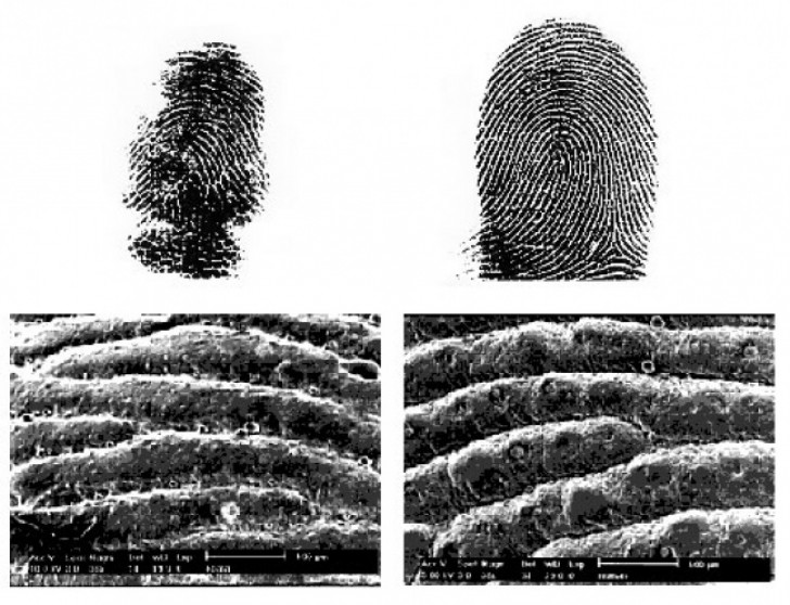 9. Wem gehören diese digitalen Fingerabdrücke?