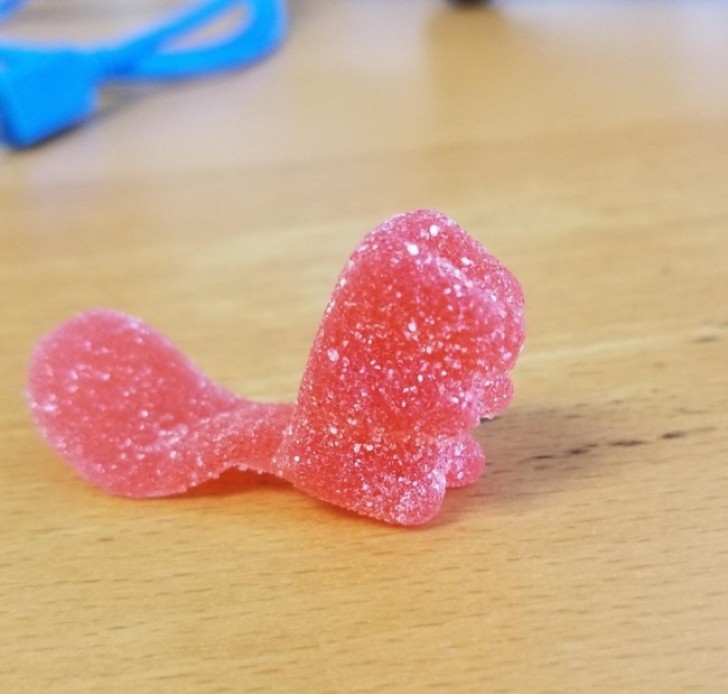 "J'ai trouvé un bonbon castor dans le sac des bonbons oursons."