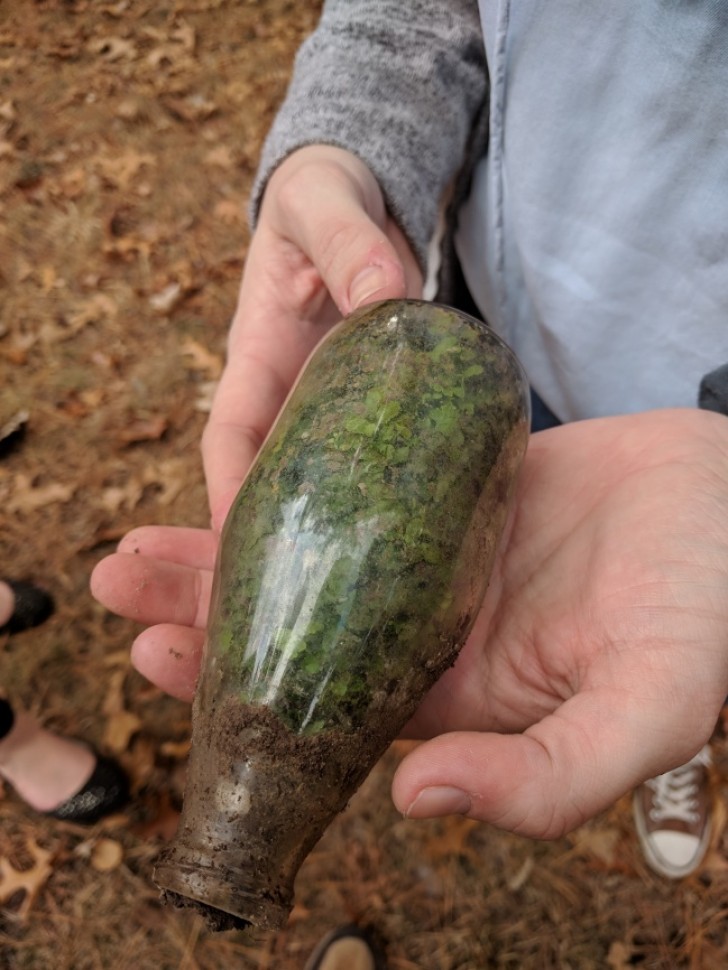 "Mi novia ha encontrado una botella en el bosque que parece un terrario".