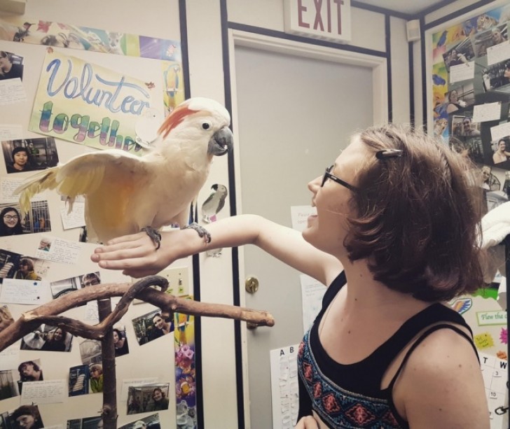Meine autistische Schwester hatte immer Schwierigkeiten, Kontakt zu Menschen aufzunehmen, aber nicht mit Fuzzy, dem Papagei.