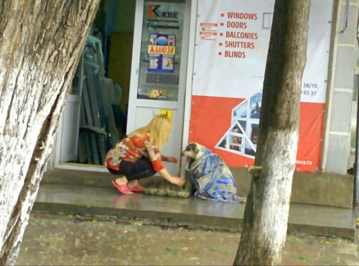 Während des Unwetters ging diese Frau raus, um einen Straßenhund mit einer Decke zu schützen. Dann nahm sie ihn mit rein.