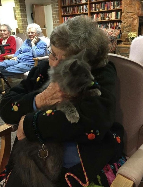 La presenza di animali all'interno di strutture per anziani ha effetti positivi sulla loro salute generale...