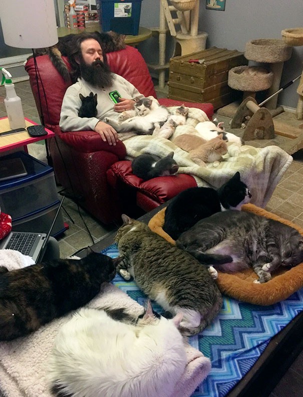 We do not understand if it is an animal refuge or a home, but certainly, all these cats create a very relaxed atmosphere!