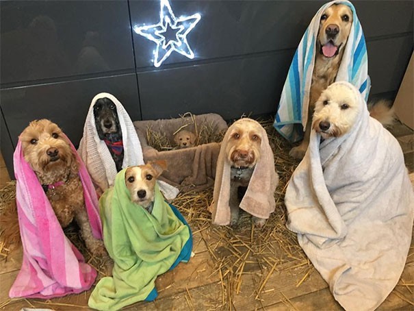 Anche al rifugio si festeggia la Natività.