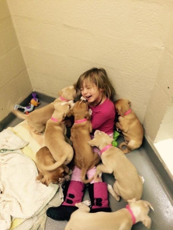 Who would not want to be assaulted by a litter of puppies hungry for cuddles?!?