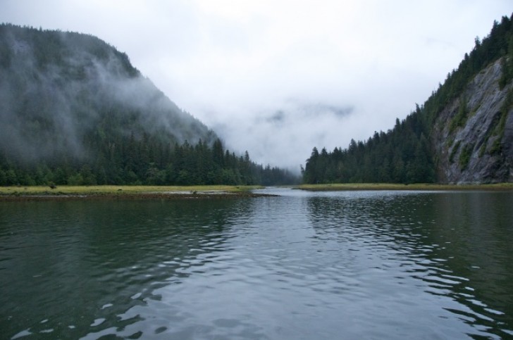 9. Le gouvernement protège ses immenses forêts.