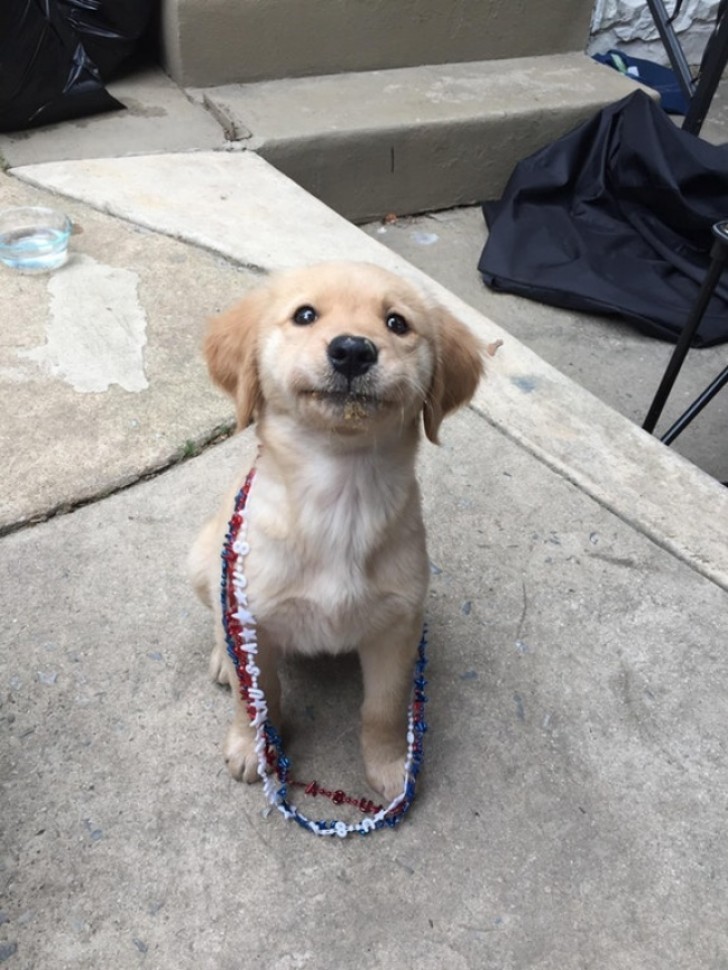 1. This puppy has tried peanut butter ... and obviously, he liked it!