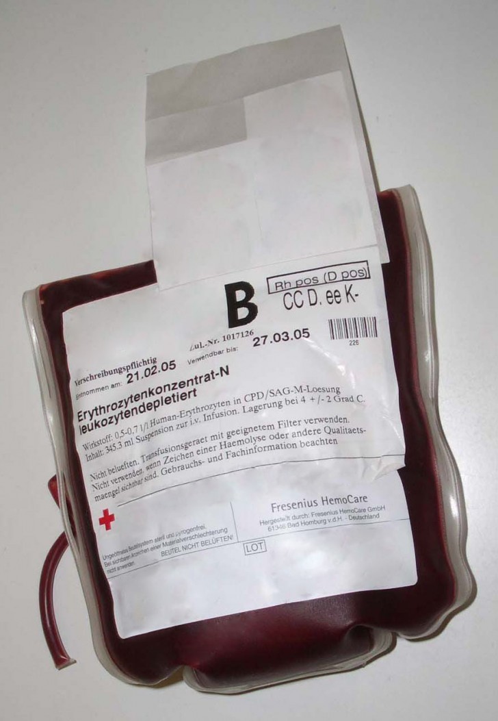 11. Warum haben wir unterschiedliche Blutgruppen?