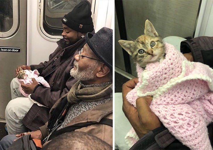 This gentleman seems so happy to have a new kitten ... And the kitten seems to be happy, too!