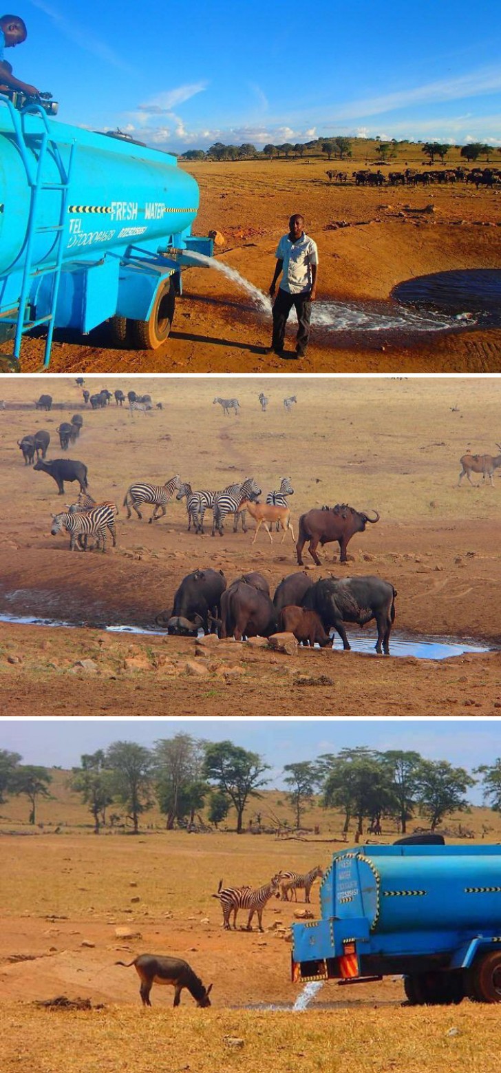 Varje dag reser den här mannen hundratals kilometer för att ge törstiga djur i Kenya vatten.