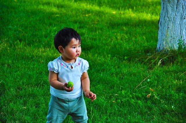 Quanto incide la frequentazione delle aree verdi nello sviluppo cognitivo del bambino?