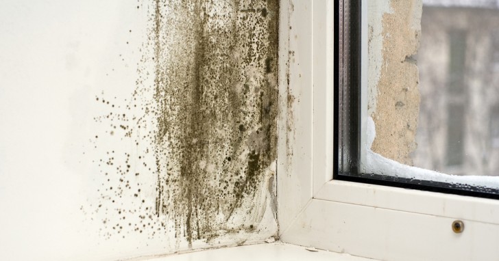 Some natural methods to eliminate mold from walls without using chemicals! - 1