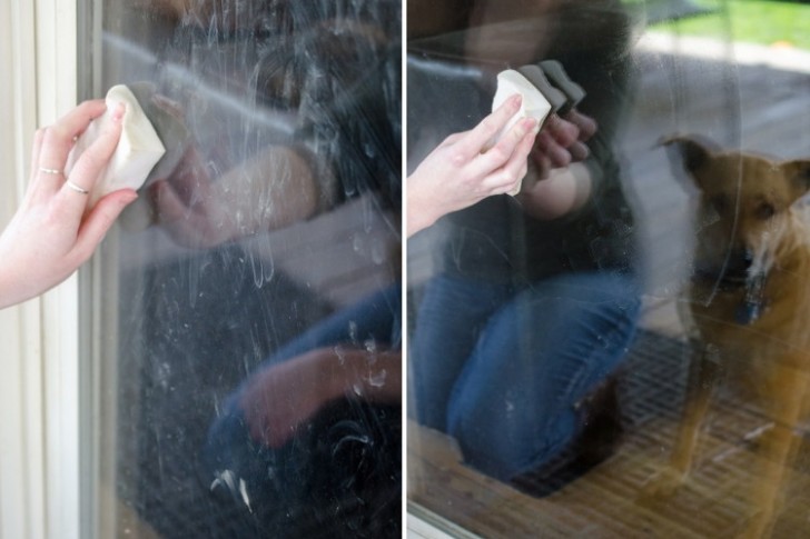 6. Schoonmaken van ramen met vieze poten van huisdieren.