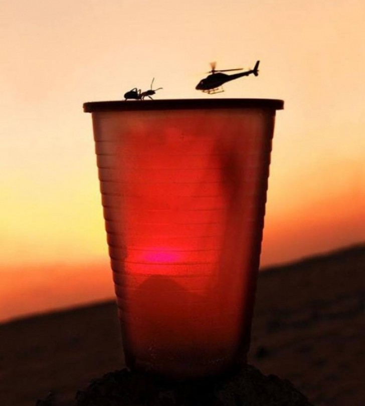 A helicopter during a banal rescue of an ant.