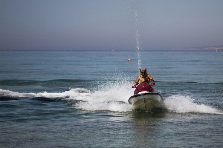 But who is that driving the boat?