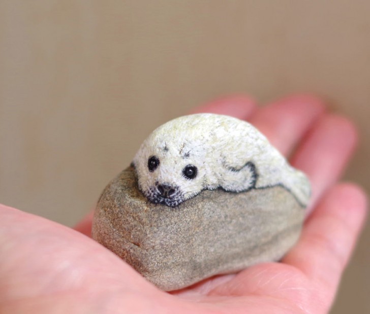 A baby seal