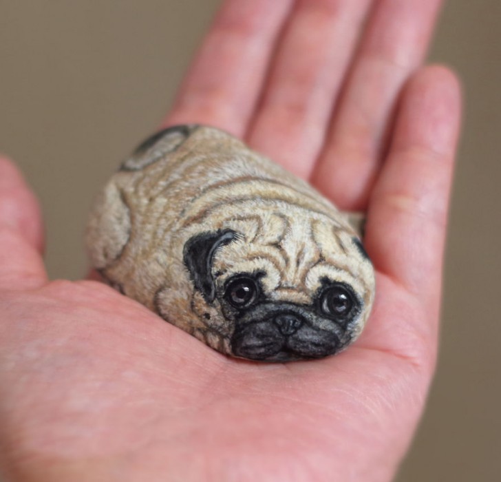 Un pug de aire suplicante