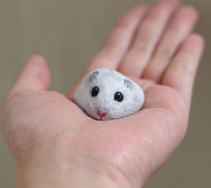 A chubby little hamster