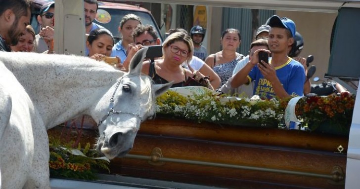 Zijn baas is overleden na een motorongeluk. Zo reageerde zijn paard tijdens de begrafenisprocessie.