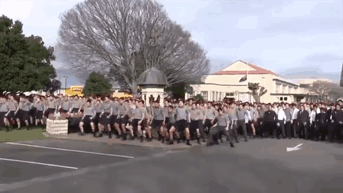 Diese neuseeländer Schüler verabschieden sich bei einem ihrer Lehrer indem sie den traditionellen Kriegstanz für ihn aufführen.