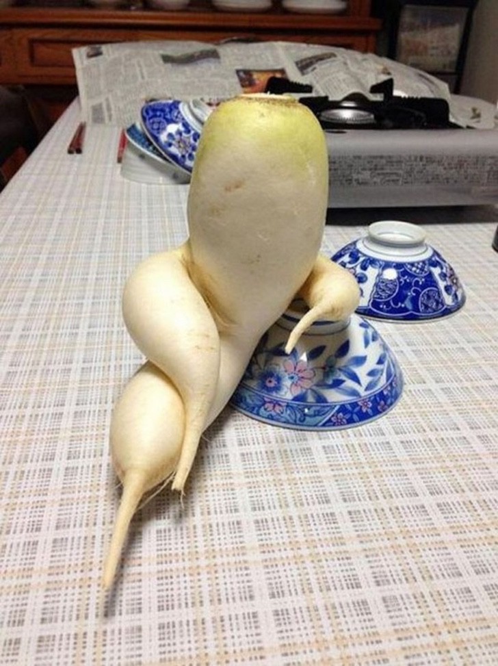 Even vegetables know how to pose ...