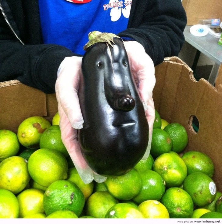 Meneer Aubergine.