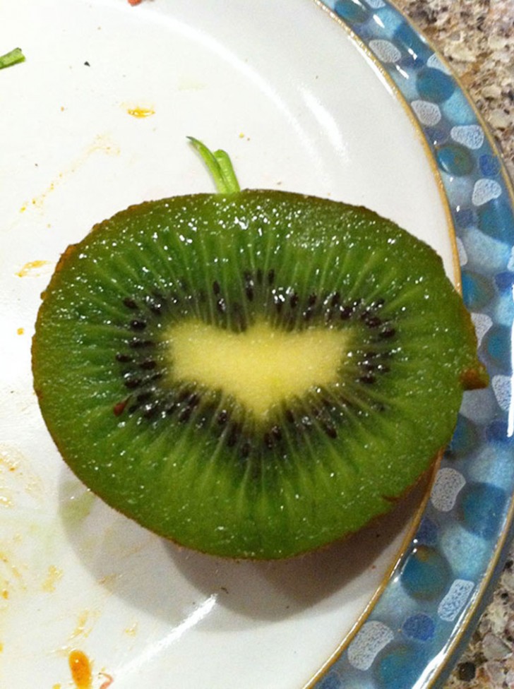 Il Bat-kiwi!