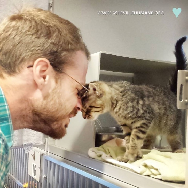 La semaine dernière, j'ai adopté un chaton : un employe du refuge a pris cette photo sans que je m'en rende compte et..... Je ne pourrais pas être plus heureuse.