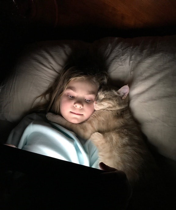 Les câlins de la nuit 😻