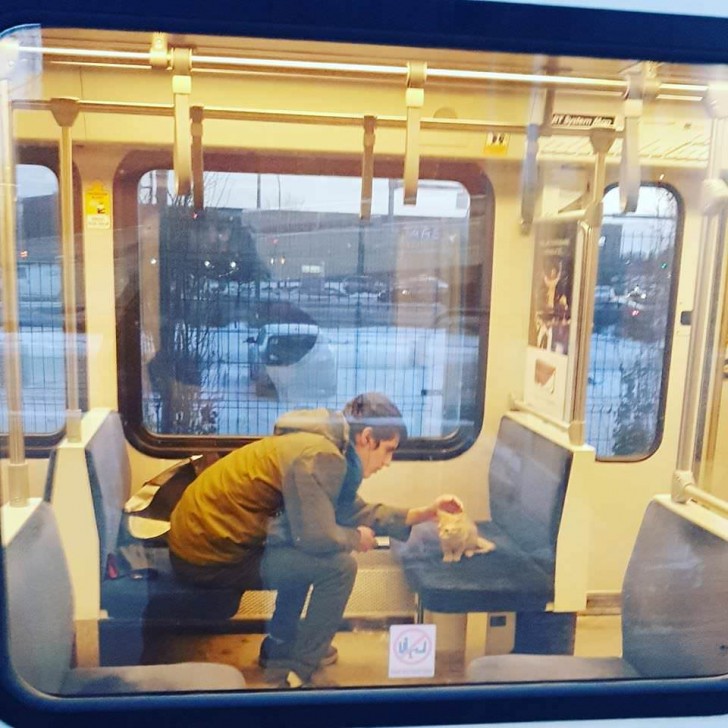 Deze jongen heeft net een katje van de ijskoude straat gehaald: hij was bijna doodgevroren.