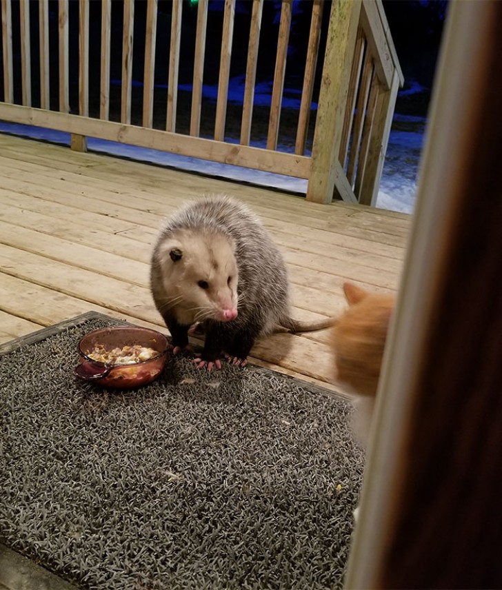 Aliás, pode comer tudo!