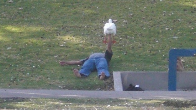 In Australia, there are also unusual people, like a man lifting weights --- using a large goose.